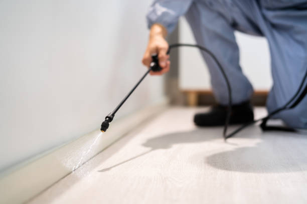 Licensed Cockroach Control service in Laurel, FL - Nex Pest Control