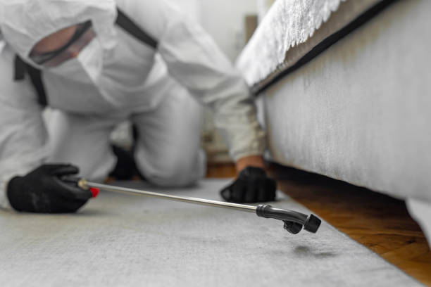 Professional Cockroach Control technician working in Laurel, FL