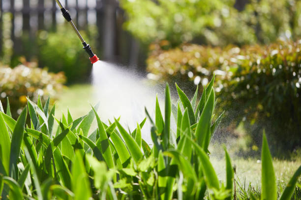 24/7 Emergency Cockroach Control experts in Laurel, FL