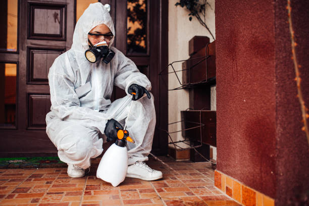 Reliable Cockroach Control contractor in Laurel, FL by Nex Pest Control